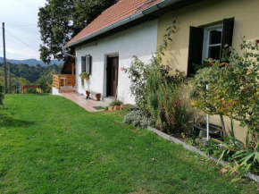 Rural house above the forest